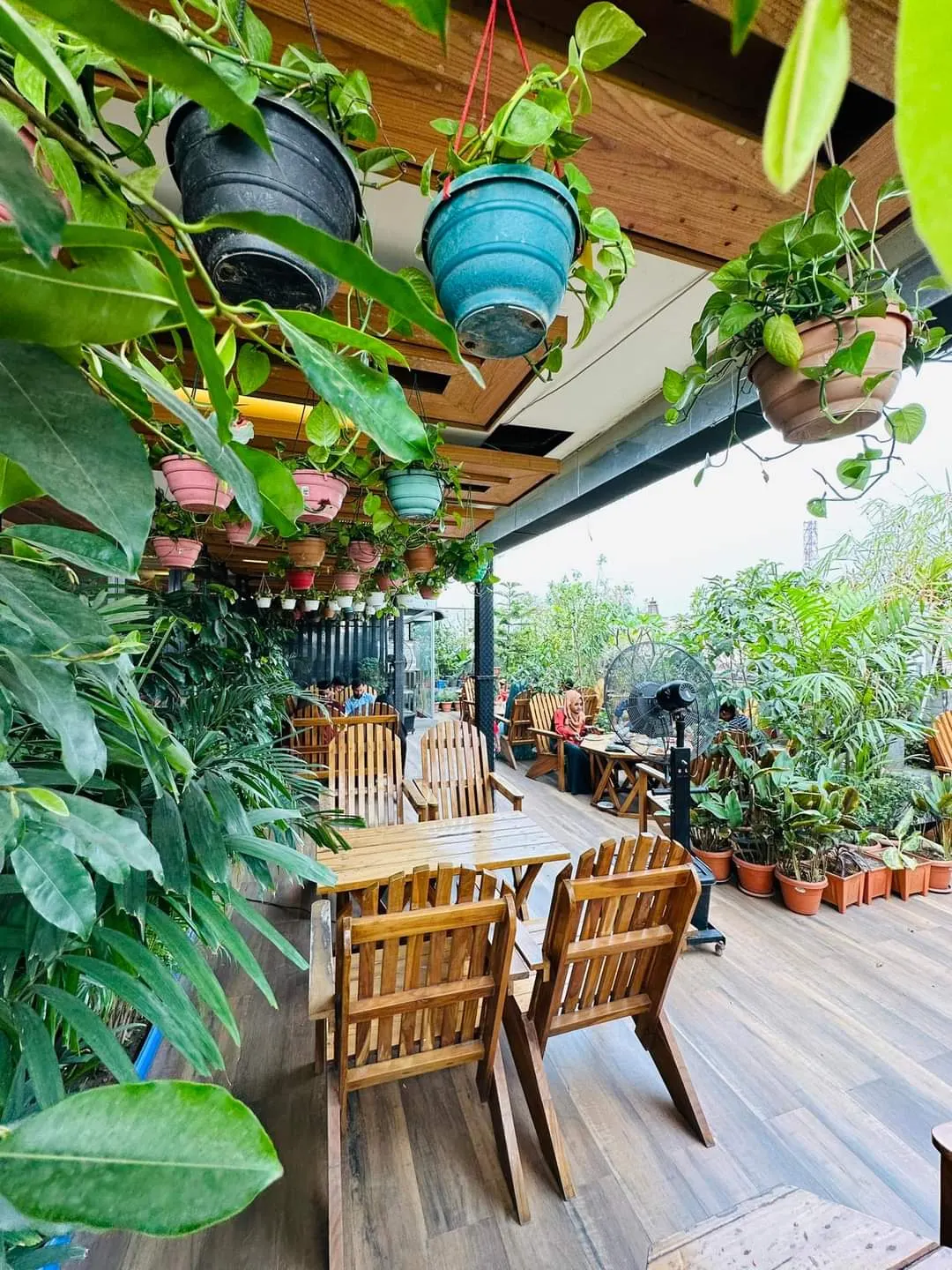 The Forestty Roof Top Restaurant